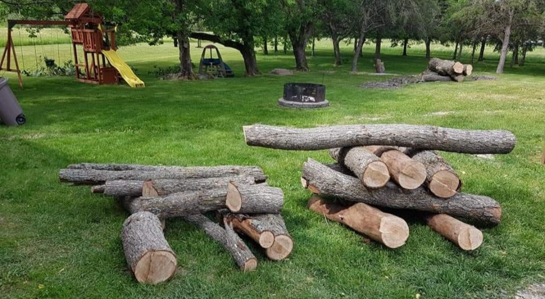 cut up logs